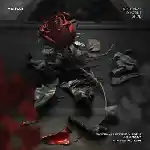 دانلود آهنگ دخترک دیوونه شد از مهیار